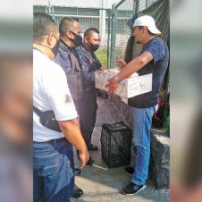 Dialogan con ambulantes para que no obstruyan pasos peatonales en Cuernavaca