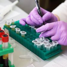 laboratory-3827745_960_720.jpg