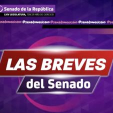 Senado-informa-060921.jpg
