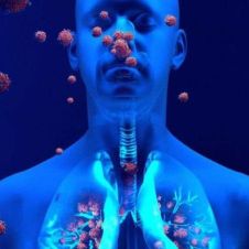 inmunidad cruzada covid19.jpg