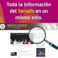 toda-informacion-senado-mexico.jpg