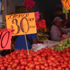 Precio de jitomate baja hasta 30 pesos por kg en Cuernavaca