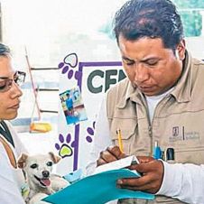 vacunación-perros.jpg