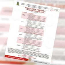 programa-fomento-productividad.jpg