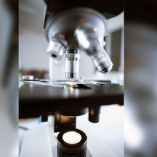 Reinfección en 6 meses es poco probable