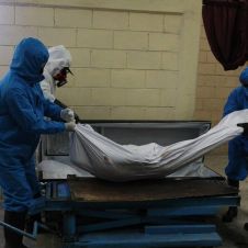 covid19 muertes mexico.jpg