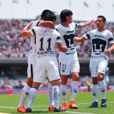 Pumas-251118.jpg