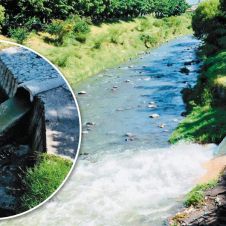 descargas-contaminacion-rio-Cuautla-051018.jpg