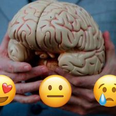 IMÁGENES: Esto sucede en el cerebro durante el enamoramiento y la ruptura amorosa 