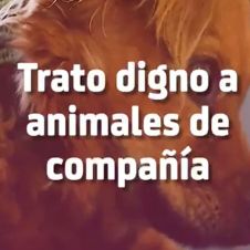 mascota_30-11-20.jpg