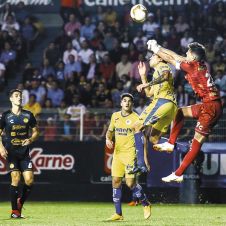 gran-pez-dorado-final.jpg
