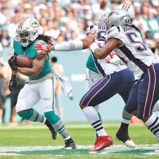delfines-miami-patriotas.jpg