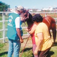 nota3-equinoterapia-en-adultos-(2)_result.jpg