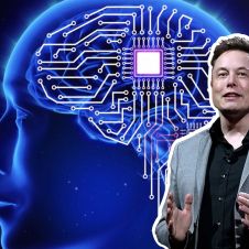 chip-elon.jpg
