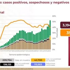 covid19 mexico 13 dic.jpg
