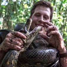 Descubren nueva especie de serpiente y es la más grande del mundo 