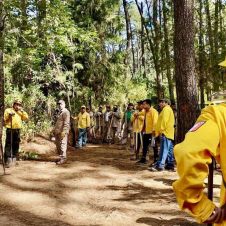 incendios.jpg