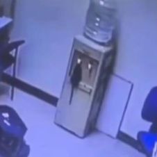 VIDEO: Rata bebe agua directo del dispensador de garrafón en una oficina 