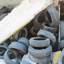 Ecozona-(7)_result.jpg