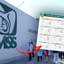 WhatsApp Image 2023-08-18 at 9.45.35 AM.jpeg