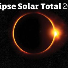 total-solar.jpg