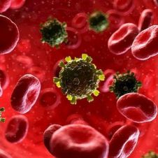 virus sida.jpg
