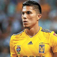 Tigres a la europea