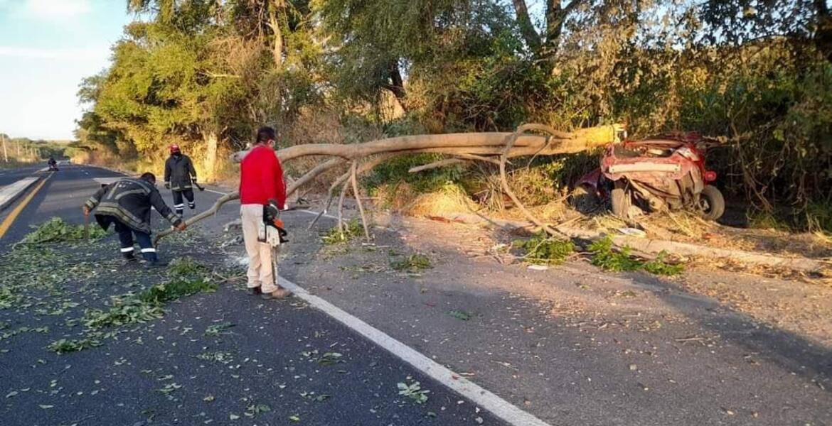 Muere hombre al quedar prensado tras chocar contra árbol en Teques