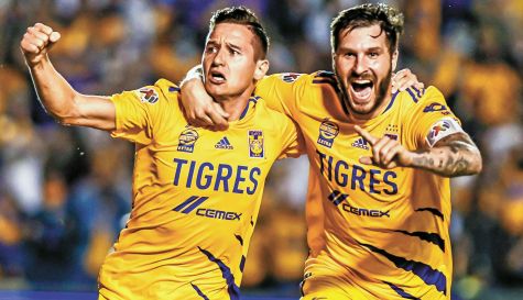 1-Tigres2.jpg